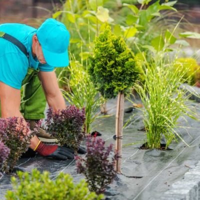 Landscaping-Rates-Per-Square-Foot-India6
