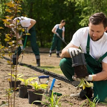 Team of the gardeners digging and weeding the bed
