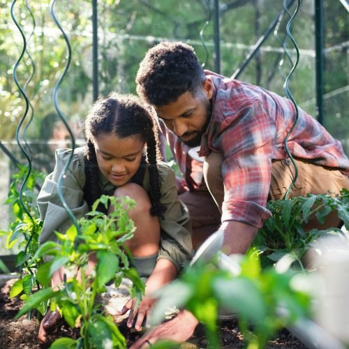 premium_photo-1681885188467-049532b7b9ea